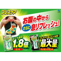 ブレスケア 水で飲む息清涼カプセル 詰め替え用 ストロングミント 100粒 1個（50粒×2）小林製薬