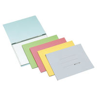 コクヨ データファイルB Y15×T11 EF-151SP 1冊