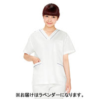 ディーフェイズ スクラブ DS2001 1枚　スクラブ（直送品）