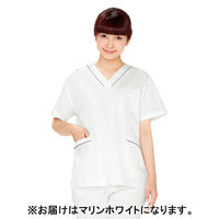 ディーフェイズ スクラブ DS2001 1枚　スクラブ（直送品）