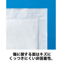 白十字 モイスキンパッド1515 滅菌済 15×15cm 19082 1箱（30枚入）