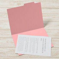 プラス 個別フォルダーエコノミー A4E ピンク FL-081IF 1パック(10枚入)