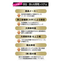 国太楼　豊かな濃く黒烏龍茶ティーバッグ　1袋（40バッグ入）