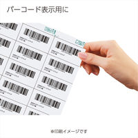 コクヨ 貼ってはがせる はかどりラベル KPC-HE124-100 1袋(100シート入)