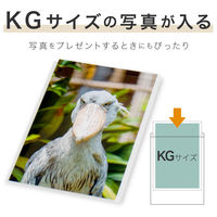 セキセイ　クリアポケット　A6（148×105mm）　AZ-540　1箱（300枚：30枚入×10袋）