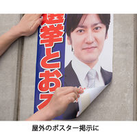 ニチバン 屋外掲示用 両面テープ長尺タイプ 幅30mm×15m NW-N30L 1セット（10巻：1巻×10）