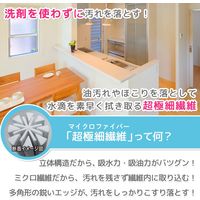 激落ちくん ふきん マイクロファイバー 厚手タイプ イヤな臭いを防ぐ Ag＋ 抗菌 防臭 2枚入 1袋 レック