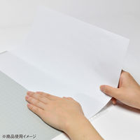 コクヨ　クリヤーブック替紙　B4ヨコ26穴　グレー　ラ-389NM　1箱（100枚：10枚入×10袋）