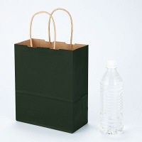 手提げ紙袋　丸紐　ベーシックカラー　深緑　SS　1セット（900枚：300枚入×3箱）　スーパーバッグ  オリジナル