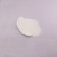 セメダイン へこみの補修・下地調整材 穴埋めパテ ホワイト 200g HJ-111 1個