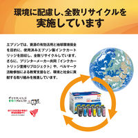 エプソン (EPSON) ICBK74(方位磁石) 純正インクカートリッジ ブラック 1個