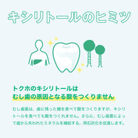 【特定保健用食品（トクホ・特保）】キシリトールガム＜ライムミント＞ファミリーボトル 1個 ロッテ