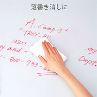 プラス　スーパークリーナー　スプレー式　シールはがし・落書き消し　5本　28055