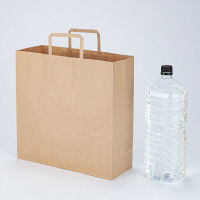 平紐クラフト紙手提袋薄型エコノミー320×320×115 茶 1セット（100枚：50枚入×2袋）  オリジナル