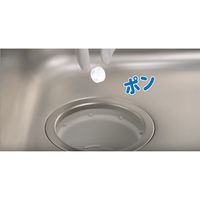 小林製薬のかんたん洗浄丸 排水口クリーナー レギュラー 12錠