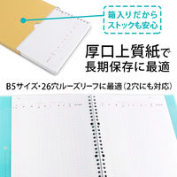 日本ノート 帳簿リーフ B5 元帳 リフ301 1セット（300枚：100枚入×3冊）