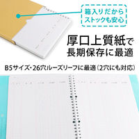 日本ノート 帳簿リーフ B5 金銭出納帳 リフ306 1セット（300枚：100枚入×3冊）