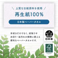 ペーパータオル ネオテックス（抗菌） 150組 ダブル 中判