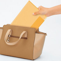 プラス ハンディH A5（見開きA4） OR FL-104CH 1袋（5枚入）（直送品）