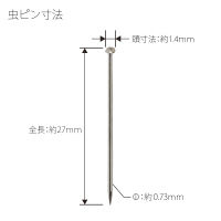 プラス　虫ピン　50g入　CP-915　１セット（３個入)　（直送品）