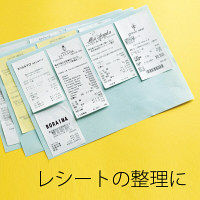 プラス　スピンエコ　ブルーBP入　TG-610BC　１セット（２個入)　（直送品）