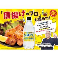 【炭酸水】サントリー 天然水SPARKLINGレモン 500ml 1セット（48本）