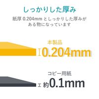 エレコム メディアケース用ラベル 手書き用インデックスカード 青 EDT-JKIND2 1個