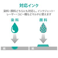 エレコム ビジネス用マット紙 インクジェット・レーザー・コピー対応 A4 薄手 片面 100枚入 EJK-MHA4100 1個