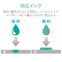 エレコム ビジネス用マット紙 インクジェット・レーザー・コピー対応 A4 薄手 片面 250枚入 EJK-MHA4250 1個