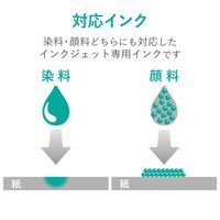 エレコム スーパーファイン紙 高画質用 厚手 両面 A4 20枚 EJK-SRAPA420 1パック(20枚入)