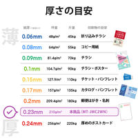 エレコム マルチカード 名刺 普通紙 厚口 白 名刺サイズ 両面印刷用 1袋（120シート入）（直送品）