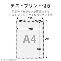 エレコム カレンダーキット 光沢紙 縦長吊りタイプ EDT-CALA4LK