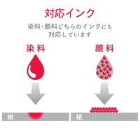 エレコム チケット用紙/スーパーファイン/両面/80枚 MT-8F80 1個
