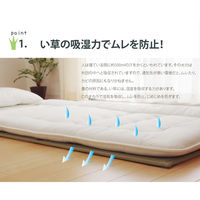 イケヒコ・コーポレーション い草マットレス 約100×210cm シングル 1110830011738 1枚