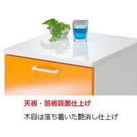 フジイ すきまくん ハーフ 幅280mm 左開き シルバー HSP-H1L-28-S 1台（直送品）