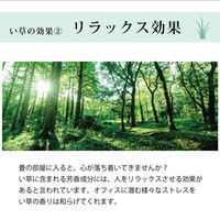 【車上渡し】SEKI い草健康チェア ブラック コンパクト 245068 1脚（直送品）