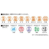 シヤチハタ ネームペンプリモ (メールオーダー式) パールピンク TKS-NR3/MO 1個