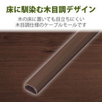エレコム フラットモール(木目調)1 LD-GAF1/WD 1本
