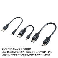 サンワサプライ DisplayPort MSTハブ（DisplayPort×2） AD-MST2DP 1個（直送品）