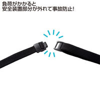 サンワサプライ リール付ストラップ(ソフトタイプIDケース付) DG-STR2 1個