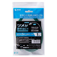 サンワサプライ ツメ折れ防止CAT5eLANケーブル LA-Y5TS-01G 1本