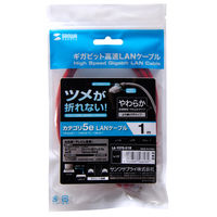 サンワサプライ ツメ折れ防止CAT5eLANケーブル LA-Y5TS-01R 1本