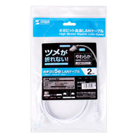 サンワサプライ ツメ折れ防止CAT5eLANケーブル LA-Y5TS-02 1本