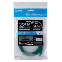 サンワサプライ ツメ折れ防止CAT5eLANケーブル やわらかタイプ 2m グリーン LA-Y5TS-02G 1本