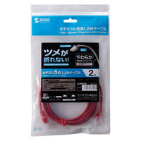 サンワサプライ ツメ折れ防止CAT5eLANケーブル LA-Y5TS-02R 1本