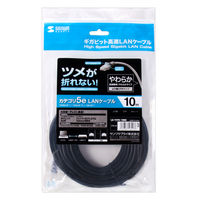 サンワサプライ ツメ折れ防止CAT5eLANケーブル LA-Y5TS-10BK 1本