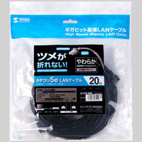 サンワサプライ ツメ折れ防止CAT5eLANケーブル LA-Y5TS-20BK 1本