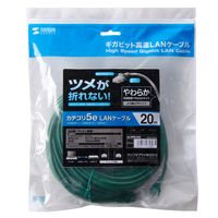 サンワサプライ ツメ折れ防止CAT5eLANケーブル LA-Y5TS-20G 1本