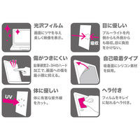 サンワサプライ 10.1型ワイド対応ブルーライトカット液晶保護指紋防止光沢フィルム LCD-101WBC 1枚（直送品）