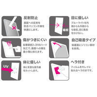 サンワサプライ 20.0型ワイド対応ブルーライトカット液晶保護指紋反射防止フィルム LCD-200WBCAR 1枚（直送品）